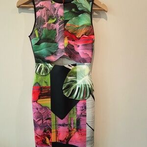 Clover Canyon Multicolor Backless Dress